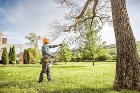 Best Lawn Maintenance Plans  in Santa Teresa, NM